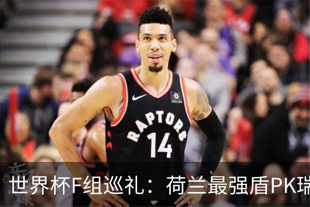 世界杯F组巡礼：荷兰最强盾PK瑞典犀利刀 日本短板明显
