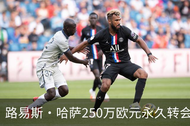 路易斯·哈萨250万欧元永久转会弗罗西诺内